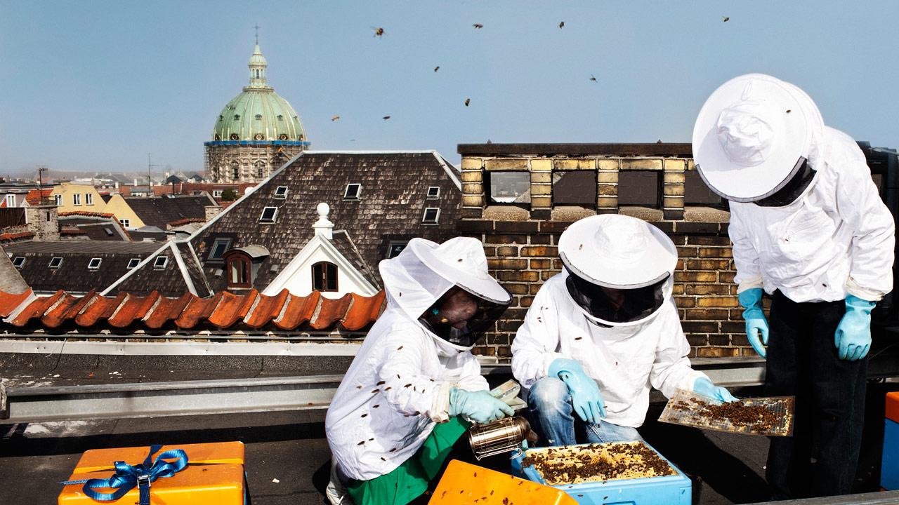 biavlere på et tag