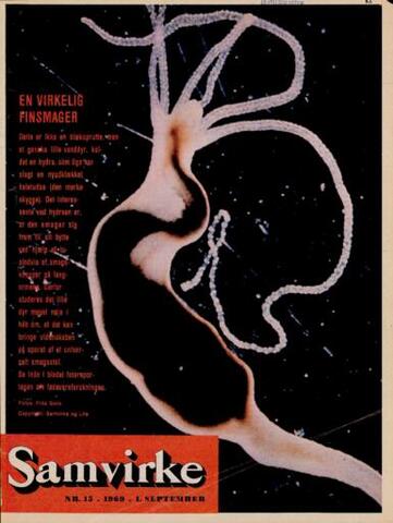 Samvirke (01.09.1969)