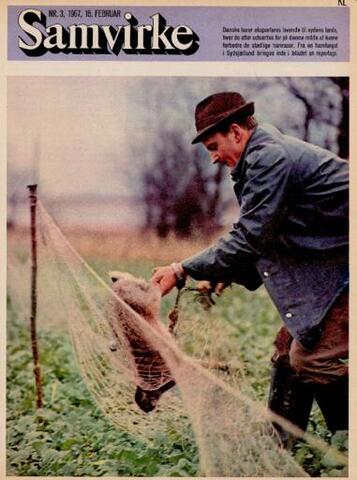 Samvirke (15.02.1967)