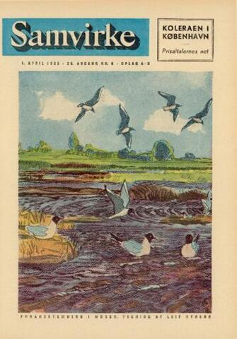 Samvirke (01.04.1953)