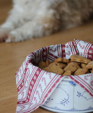 Hundekiks i julemotiv