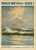 Vesterhavet i storm