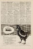 Diverse reklamer 