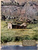 Samvirke