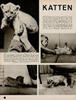 Katten