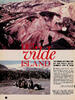 Det vilde Island 