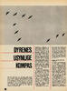 Dyrenes usynlige kompas 