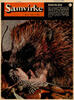 Samvirke