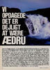 Vi opdagede det er dejligt at være ædru 