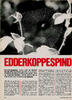 Edderkoppespind