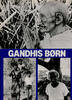 Gandhis børn
