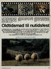 Oldtidsmad til nutidsfest