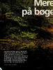 Mere skov på bøgelyse øer