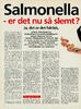Salmonella - er det nu så slemt?