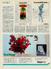 Pot & Plante