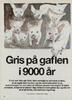 Gris på gaflen i 9000 år 