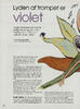 Lyden af trompet er violet