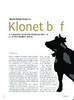 Klonte bøf 