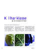 Kål har klasse 
