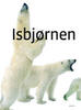 Isbjørnen skrumper 