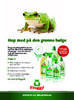 Froggy 