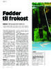 Fødder til frokost 