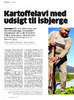 Kartiffelavl med udsigt til isbjerge 