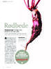 Rødbeder 
