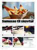 Samosas til skovtur 