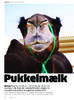 Pukkelælk 