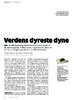 Verdens dyreste dyne 