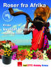 Africa Africa 