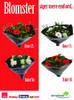 Springflower