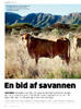 En bid af savannen