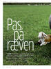 Pas på ræven