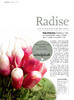 Radise
