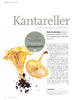 Kantareller