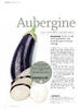 Aubergine