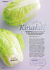Kinakål