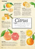 Citrus