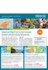 Albatros Travel