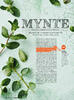 Mynte