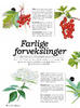 Farlige forvekslinger 