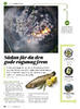 Sådan får du den gode røgsmag frem