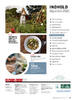 Indholdsfortegnelse september