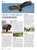 Oplev »the big 5« i Danmark