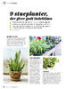 9 stueplanter, der giver godt indeklima