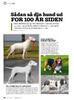 Sådan så din hund ud for 100 år siden