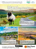 Best travel