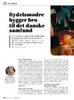 Bydelsmødre bygger bro til det danske samfund
